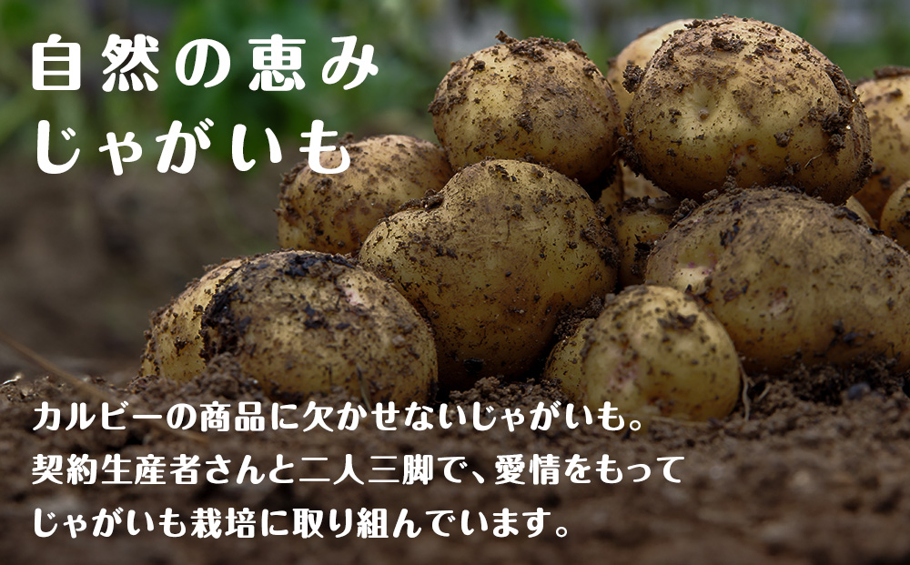 【定期便2カ月】カルビーポテトチップス 2種セット うすしお・コンソメパンチ 各8袋 《千歳工場製造》