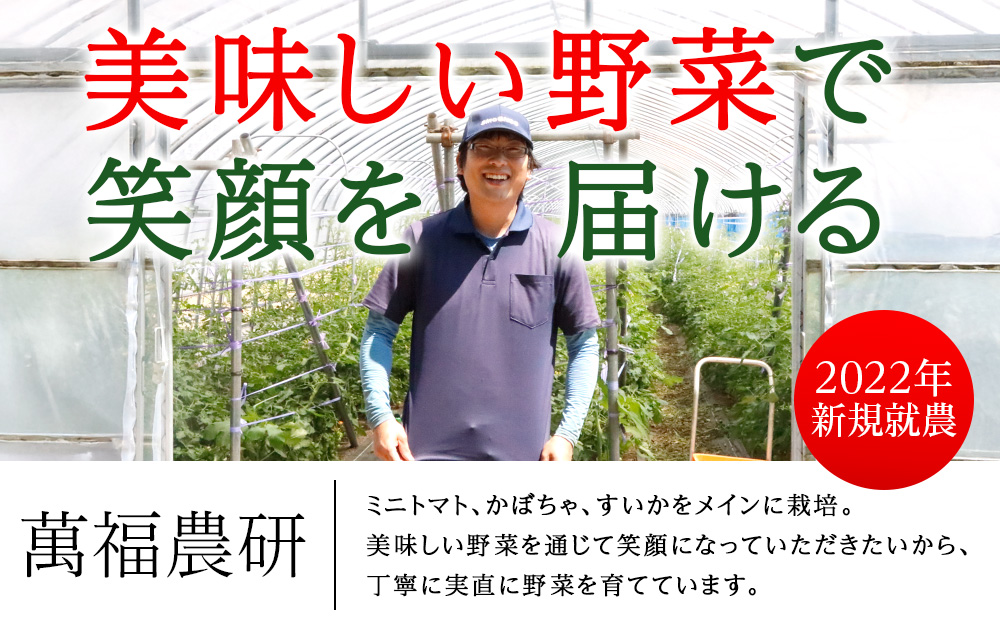 【2026年発送】〈萬福農研〉産地直送！ミニトマト(プレミアムルビー) 2kg