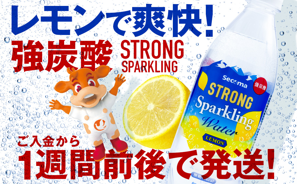【定期便6ヵ月】セコマ レモン 強炭酸水 500ml 24本 1ケース 北海道 千歳製造 飲料 炭酸 ペットボトル