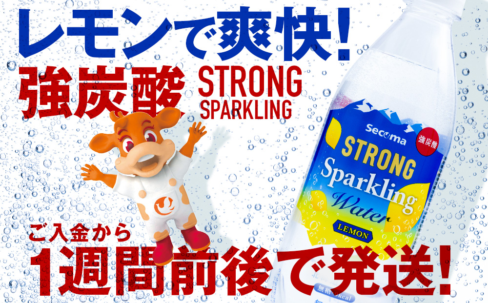 【定期便12ヵ月】セコマ レモン 強炭酸水 500ml 24本 1ケース 北海道 千歳製造 飲料 炭酸 ペットボトル