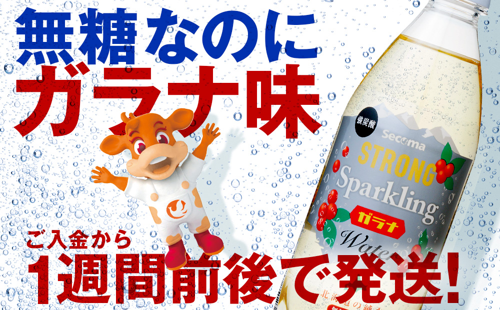 【定期便12ヵ月】セコマ ガラナ 強炭酸水 500ml 24本 1ケース 北海道 千歳製造 飲料 炭酸 ペットボトル