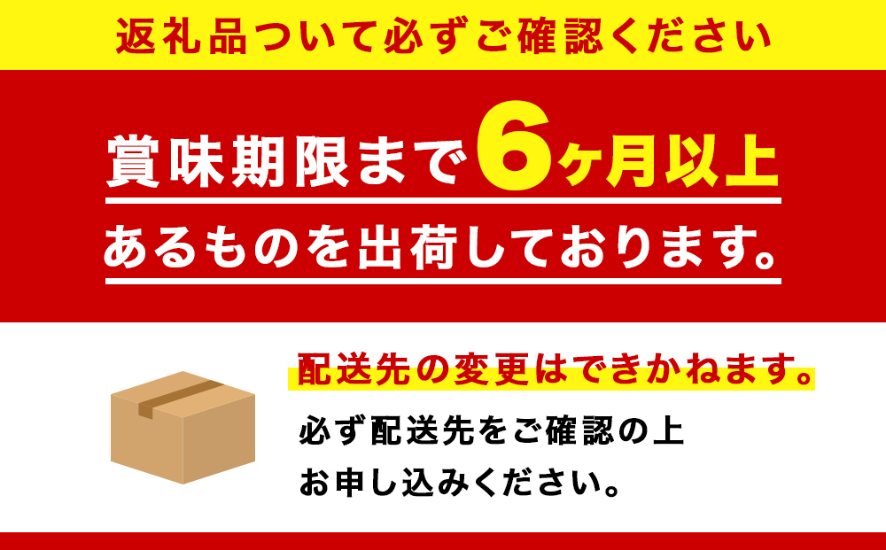 キリンラガービール＜北海道千歳工場産＞500ml（24本）
