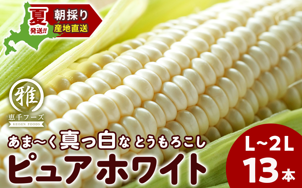 2026年夏発送 白いとうもろこし ピュアホワイト L～2L 13本