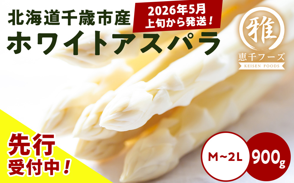 【2026年春発送】 ホワイトアスパラ 900g M～2L アスパラ アスパラガス 野菜 千歳 北海道