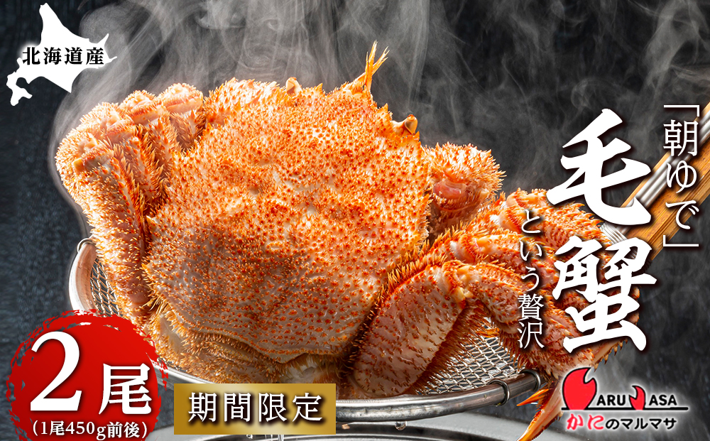北海道産【朝ゆで】 毛ガニ （450g前後）2尾 期間限定！≪ かにのマルマサ ≫ かに 毛がに カニ 千歳 北海道 海鮮
