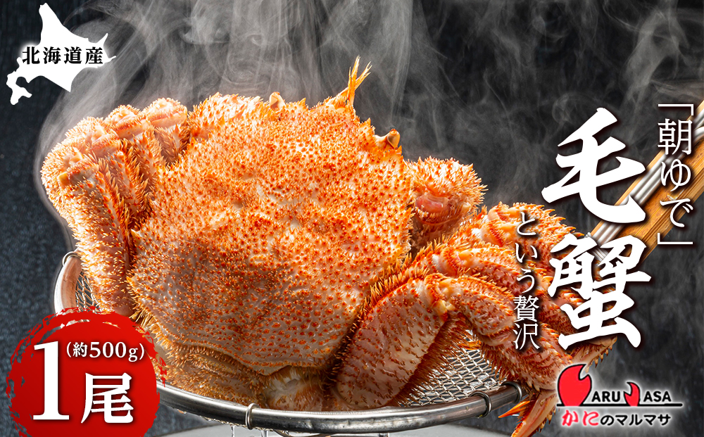 北海道産【朝ゆで】毛ガニ（500g前後）1尾 期間限定！＜かにのマルマサ＞ かに 毛がに カニ 千歳 北海道 海鮮