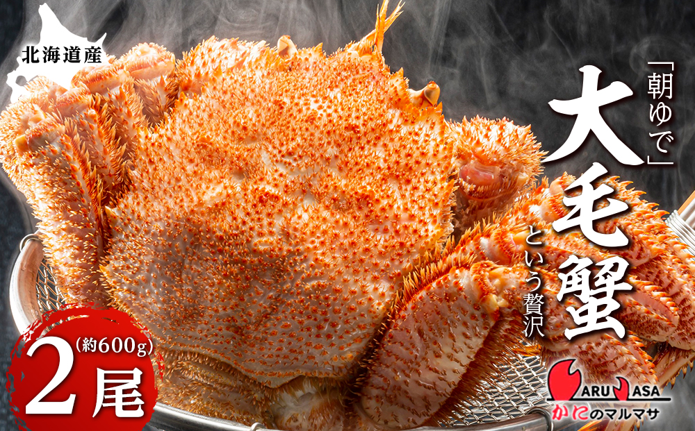 北海道産【朝ゆで】毛ガニ（600g前後）2尾 期間限定！＜かにのマルマサ＞ かに 毛がに カニ 千歳 北海道 海鮮