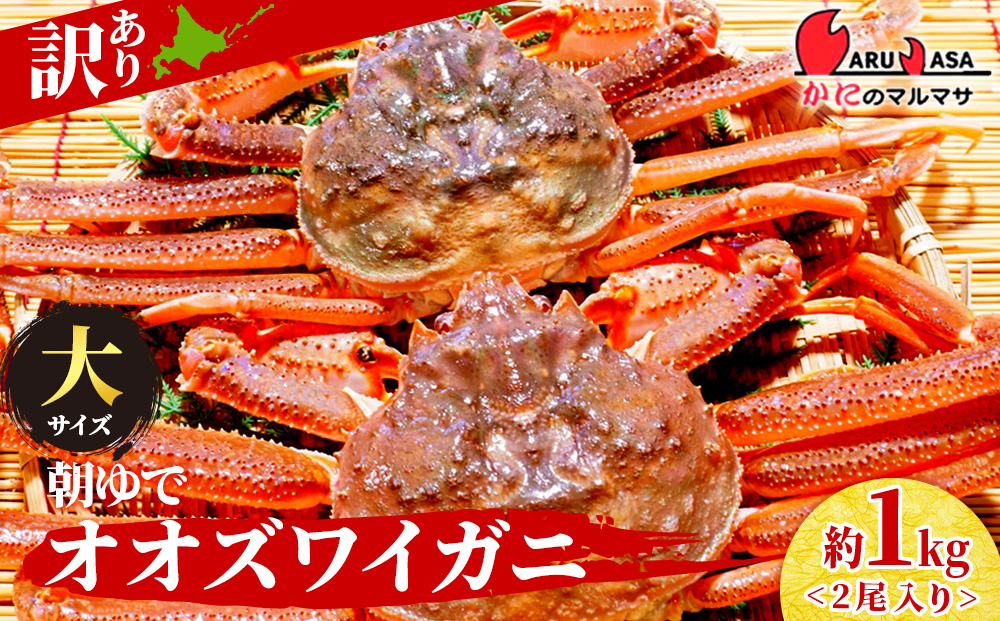 北海道産【 朝ゆで 】訳ありオオズワイガニ 1.0kg詰 ＜かにのマルマサ＞道産品 オオズワイ ズワイガニ ずわい蟹 カニ 蟹 規格外品 不揃い 訳アリ 訳有り