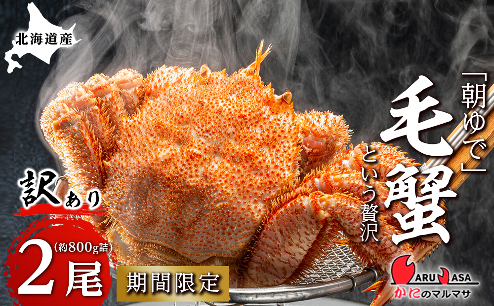 北海道産【朝ゆで】訳あり毛ガニ 800g詰 期間限定！≪かにのマルマサ≫