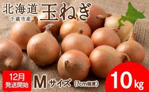 【先行予約】玉ねぎ 10kg Mサイズ 北海道 千歳市産 甘い たまねぎ 野菜 冷蔵 タマネギ 【假屋フードブリッジ】