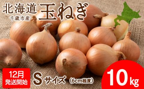 【先行予約】玉ねぎ 10kg Sサイズ 北海道 千歳市産 甘い たまねぎ 野菜 冷蔵 タマネギ 【假屋フードブリッジ】