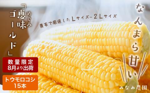 なんまら甘くて食べやすい！2026年 8月より出荷！「 恵味ゴールド 」15本セット とうきび とうもろこし 野菜 コーン 北海道 千歳