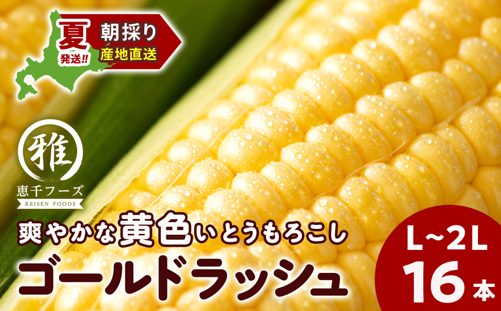 2026年夏発送 とうもろこし ゴールドラッシュ L～2L 16本