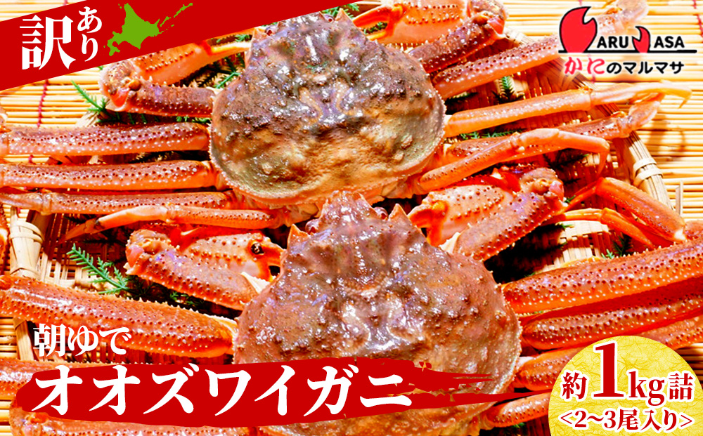 北海道産【 朝ゆで 】訳ありオオズワイガニ 1.0kg詰 ＜かにのマルマサ＞道産品 オオズワイ ズワイガニ ずわい蟹 カニ 蟹 規格外品 不揃い 訳アリ 訳有り