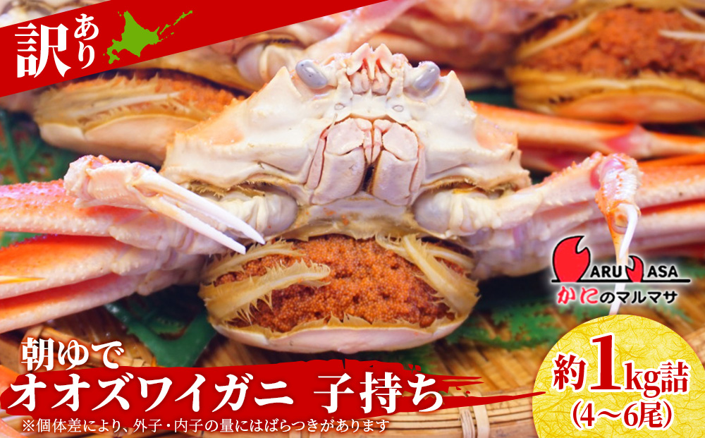 北海道産【朝ゆで】訳ありオオズワイガニ メス(小) 1.0kg詰 子持ち 内子 外子 道産品 オオズワイ カニ 蟹 規格外品 不揃い 訳アリ 訳有り