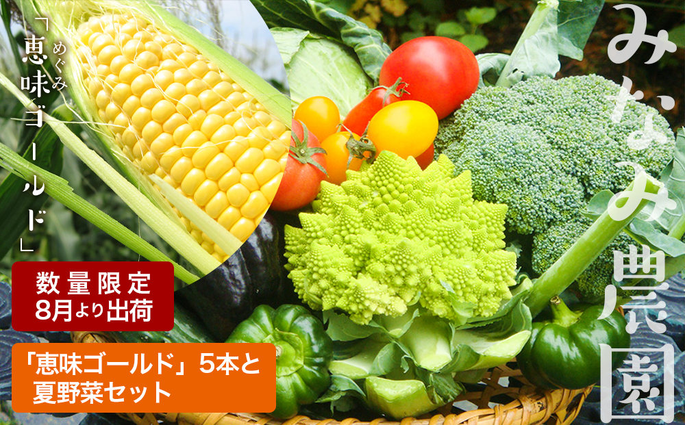 色々楽しめる！2026年8月より順次出荷！「 恵味ゴールド 」5本と 夏野菜 セット とうきび とうもろこし 野菜 コーン 北海道 千歳
