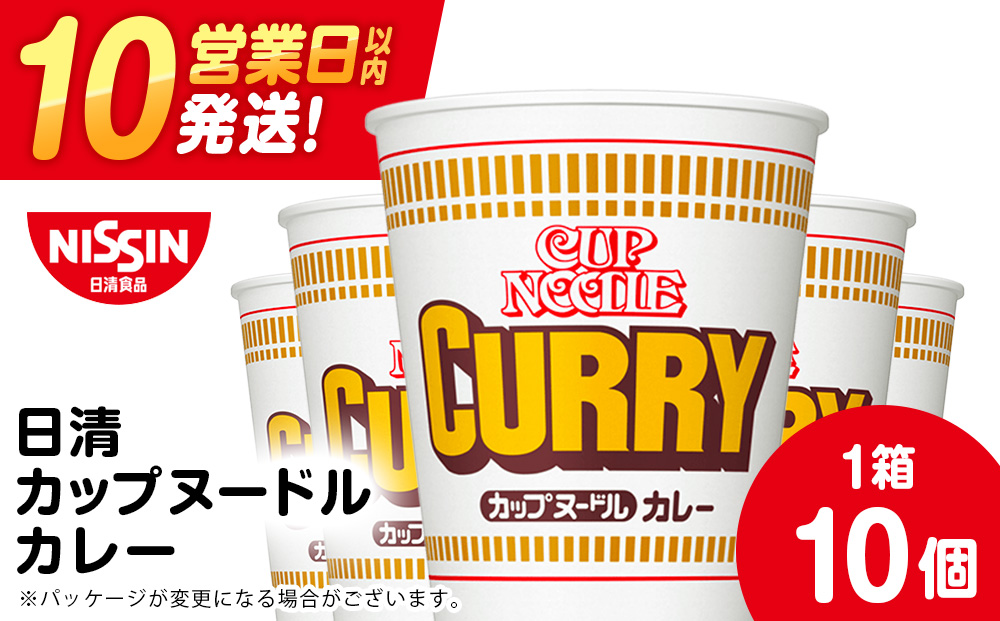 10営業日以内発送 日清 カレーヌードル 10食 ラーメン 麺 即席麺 麺類 ラーメン カップ麺 インスタントインスタント 麺類 カップラーメン