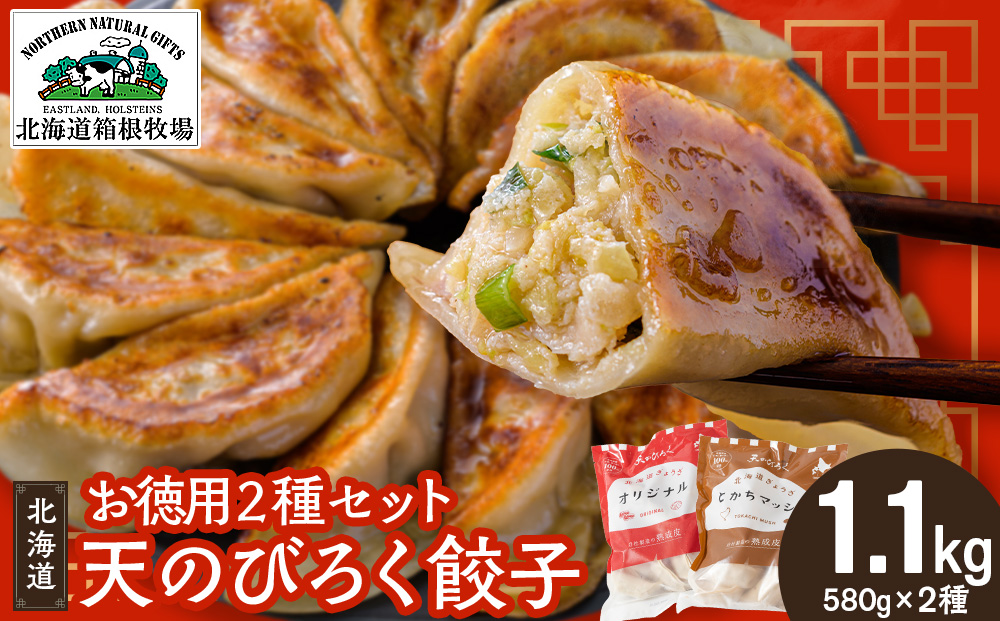 天のびろく 餃子 お徳用 ２種 セット（580ｇ×2） 徳用 冷凍 北海道 千歳 食べ比べ