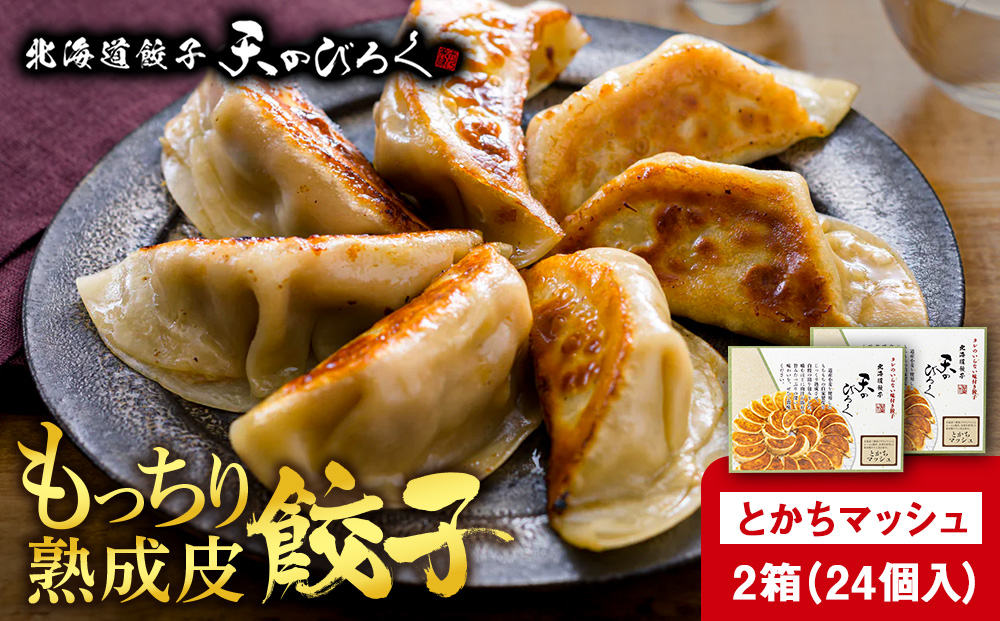 北海道餃子天のびろく とかちマッシュ12粒入 2箱