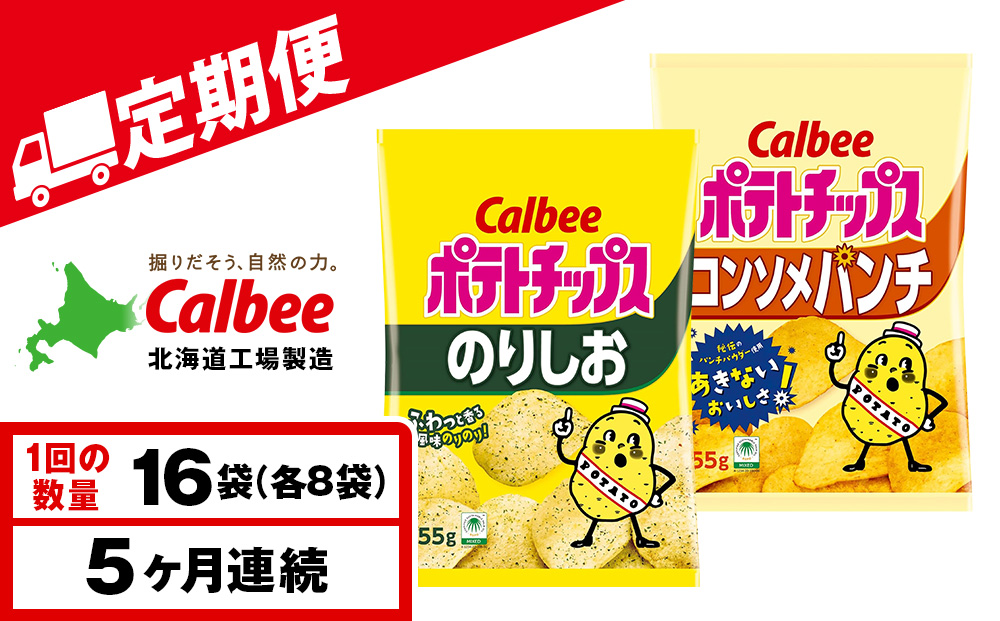 【定期便5カ月】カルビーポテトチップス 2種セット コンソメパンチ・のりしお 各8袋 《千歳工場製造》