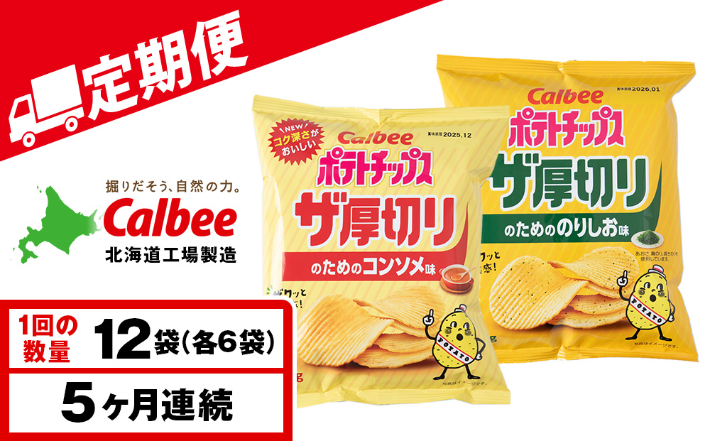 【定期便5カ月】ザ厚切りのための ２種セット コンソメ・のりしお 各6袋 カルビー ポテトチップス 《千歳工場製造》
