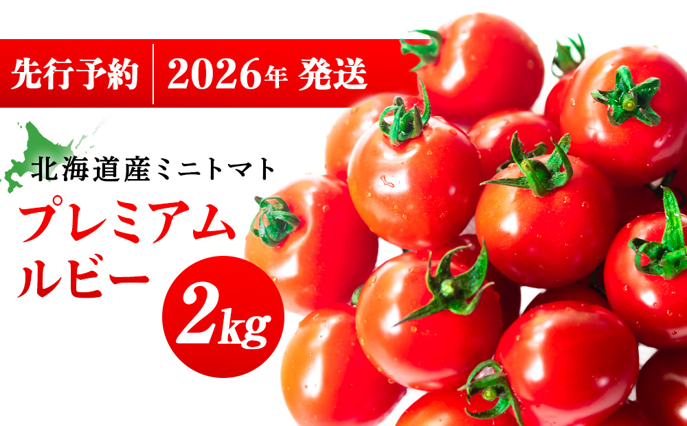 【2026年発送】〈萬福農研〉産地直送！ミニトマト(プレミアムルビー) 2kg