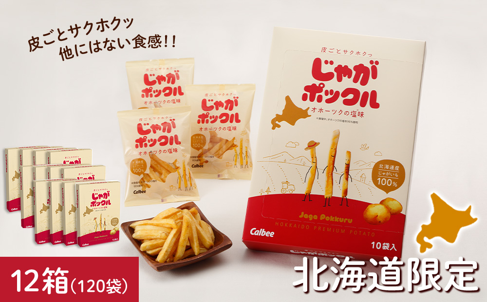 カルビーポテトチップス＜コンソメパンチ×のりしお＞12袋入 各1箱《北海道工場製造》: 千歳市ANAのふるさと納税