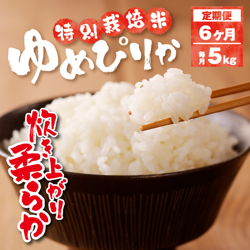 新米【先行受付】令和7年産特別栽培ゆめぴりか 5kg 6ヶ月連続