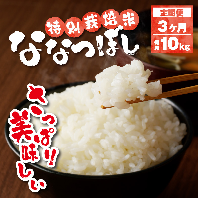 新米【先行受付】令和7年産特別栽培ななつぼし 5kg×2袋 3ヶ月連続