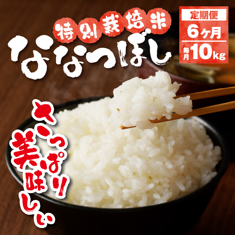 新米【先行受付】令和7年産特別栽培ななつぼし 5kg×2袋 6ヶ月連続