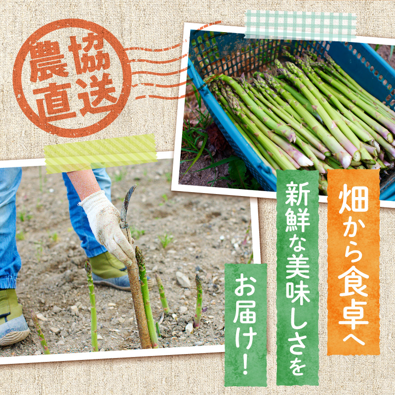 【2026年発送先行受付】北海道産グリーンアスパラ Sサイズ 1kg(500gx2袋) 産地直送 | 野菜 旬 とれたて お取り寄せ 小分け 保存 北海道 滝川市