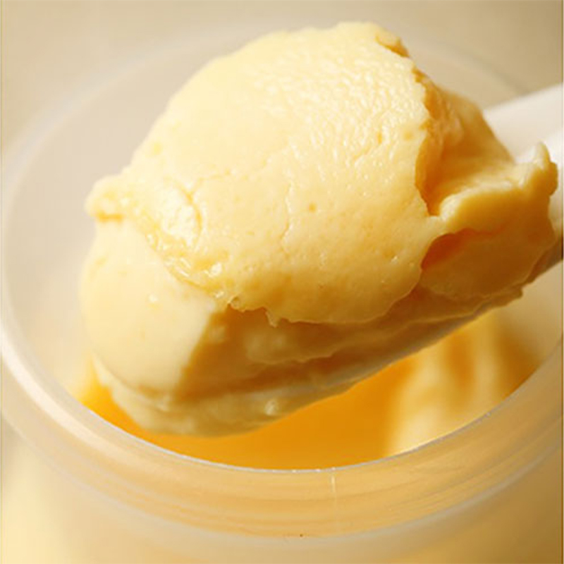  【昭和39年創業】こがね町プリン8個セット 北海道 滝川市 銘菓 お菓子 スイーツ ご当地 お土産