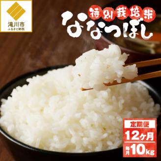 新米【先行受付】令和7年産特別栽培ななつぼし 5kg×2袋 12ヶ月連続