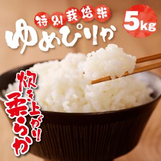 新米【先行受付】令和7年産特別栽培ゆめぴりか 5kg