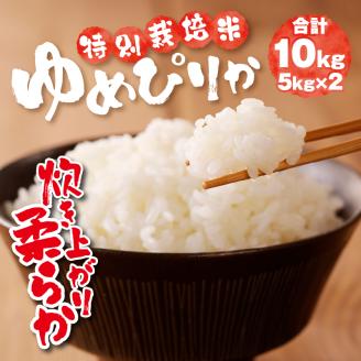 新米【先行受付】令和7年産特別栽培ゆめぴりか 5kg×2