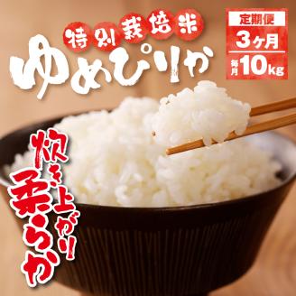 新米【先行受付】令和7年産特別栽培ゆめぴりか 5kg×2袋 3ヶ月連続