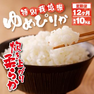 新米【先行受付】令和7年産特別栽培ゆめぴりか 5kg×2袋 12ヶ月連続