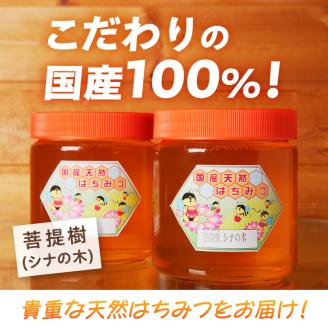 2025年新蜜【北海道滝川産】高見養蜂場の純粋はちみつ(菩提樹、シナの木600g×2本)