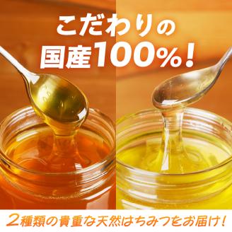 2025年新蜜【北海道滝川産】高見養蜂場の純粋はちみつセット(アカシヤ&菩提樹、シナの木600g×各1本 計2本)