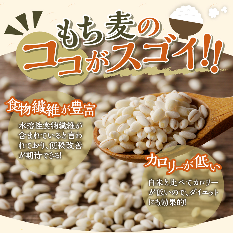 【ごはんで腸活】もち麦ごはんレトルト48パック