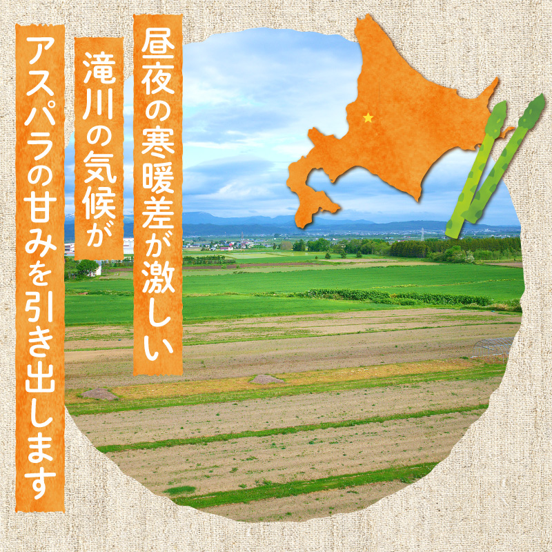 【2026年発送先行受付】北海道産グリーンアスパラ Sサイズ 1kg(500gx2袋) 産地直送 | 野菜 旬 とれたて お取り寄せ 小分け 保存 北海道 滝川市