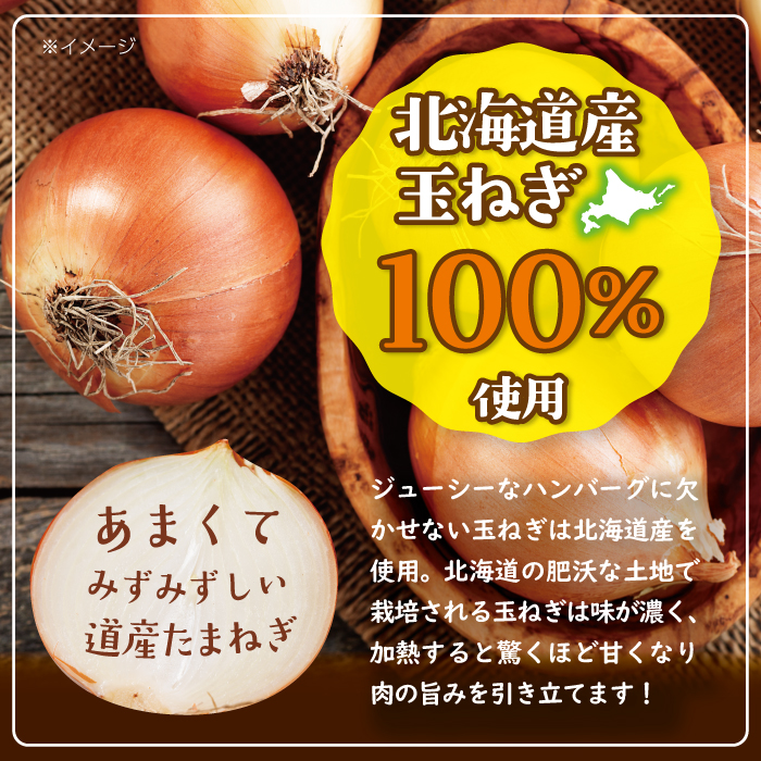 北海道デミハンバーグ1食200g 9セット 北海道 牛肉 豚肉 真空パック冷凍 お弁当 バーベキュー 惣菜 簡単 焼くだけ 個包装 小分け 北海道産玉ねぎ