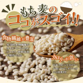 3カ月連続お届け【ごはんで腸活】もち麦ごはんレトルト48パック