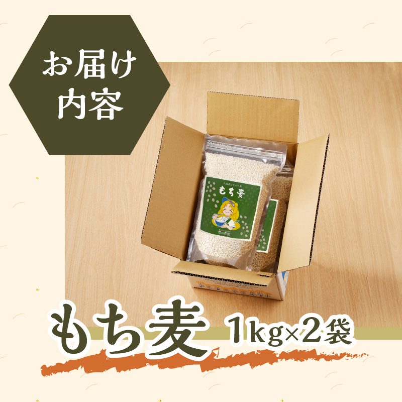 【豊富な食物繊維】もち麦