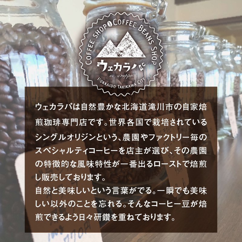 スペシャルティコーヒードリップバッグセット2種類8袋｜珈琲 コーヒー coffee 高品質 飲料 ドリップバッグ ドリップ 自家焙煎 自家焙煎珈琲 焙煎コーヒー 個包装 ソフトドリンク ブラック 人気 高評価 ランキング おすすめ 滝川市 ウェカラパ