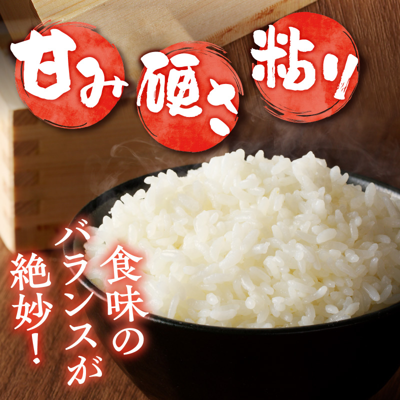 新米【先行受付】令和7年産特別栽培ななつぼし 5kg×2袋 3ヶ月連続
