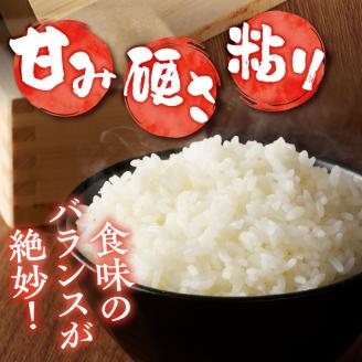 新米【先行受付】令和7年産特別栽培ななつぼし 5kg×2