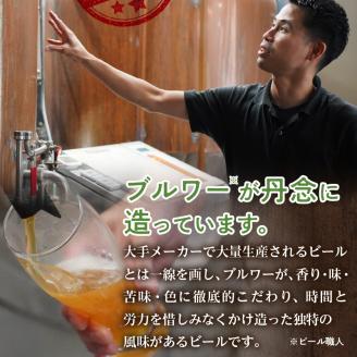 【滝川地ビール】全国４位入賞の空知エール６本セット