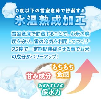 【氷温熟成】ゆめぴりかのパックごはん 24食