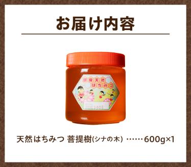 2025年新蜜【北海道滝川産】高見養蜂場の純粋はちみつ(菩提樹、シナの木600g×1本)
